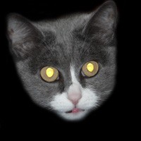 https://tf2.uvdragon.ru/forum/uploads/thumbs/1316_49bfe22360c43.jpg