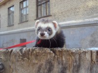 https://tf2.uvdragon.ru/forum/uploads/thumbs/1774_4beabb30d6ed1.jpg