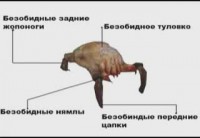 https://tf2.uvdragon.ru/forum/uploads/thumbs/1987_4992b4d4c8060.jpg