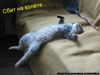 https://tf2.uvdragon.ru/forum/uploads/thumbs/202_4aaf55f251e89.jpg