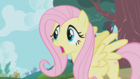 https://tf2.uvdragon.ru/forum/uploads/thumbs/2453_4f78444c49d0f.png