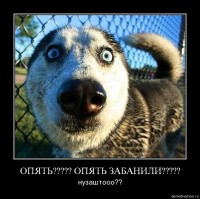 https://tf2.uvdragon.ru/forum/uploads/thumbs/324_497220cccb20c.jpg