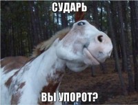 https://tf2.uvdragon.ru/forum/uploads/thumbs/335_50b3934be1ab8.jpg