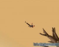 https://tf2.uvdragon.ru/forum/uploads/thumbs/3836_4d241a275e9c7.jpg