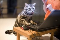 https://tf2.uvdragon.ru/forum/uploads/thumbs/822_4f13be5bdc3e7.jpg