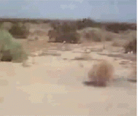 https://tf2.uvdragon.ru/forum/uploads/thumbs/822_588c10e933764.gif